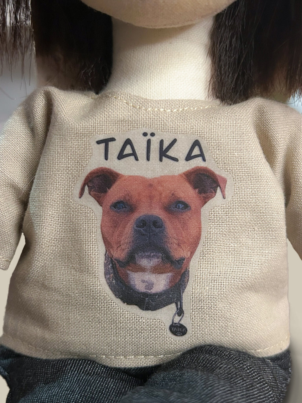 The Personalized Companion &amp; Its Pet